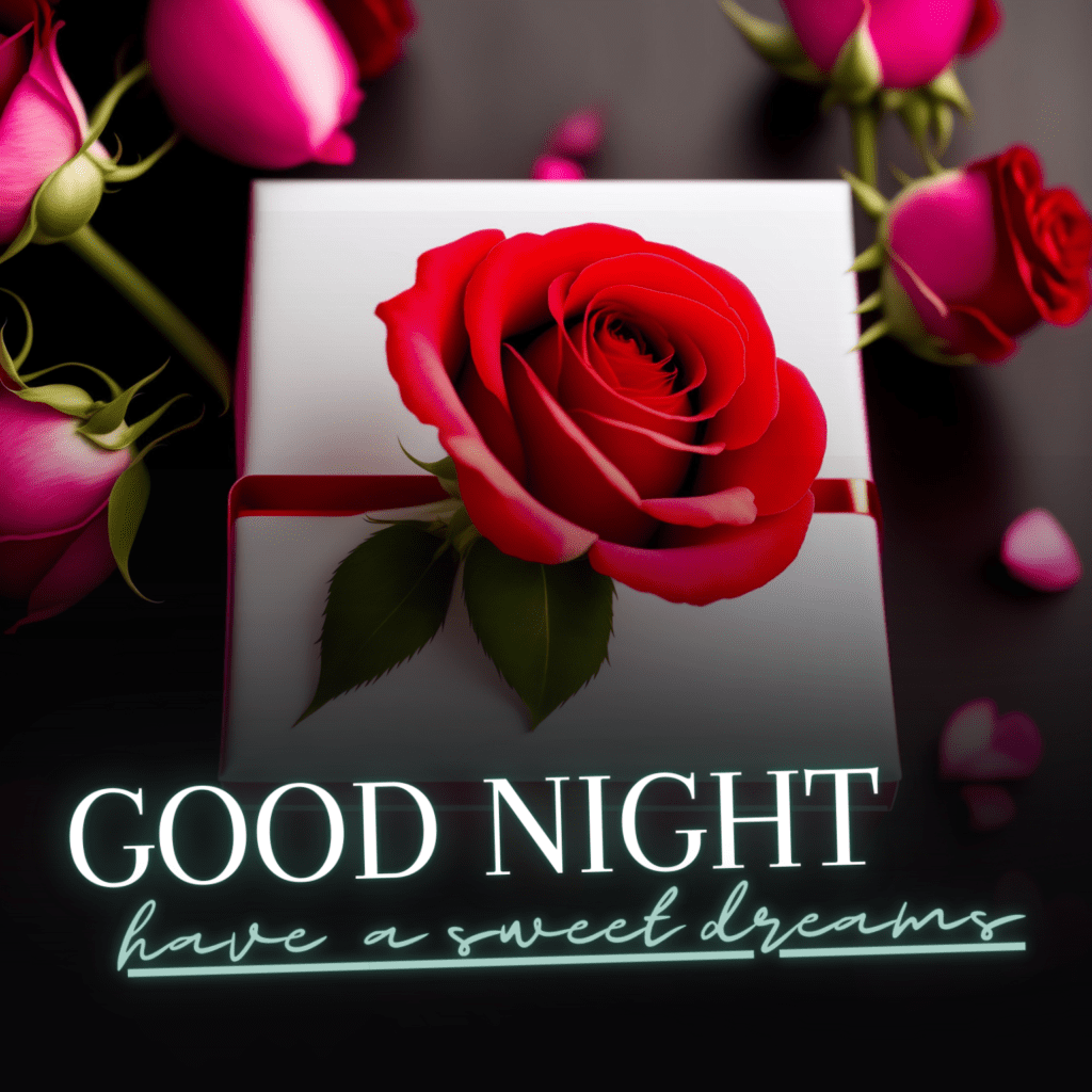 Valentines day card with gift box and rose flowers  new hd good night image download